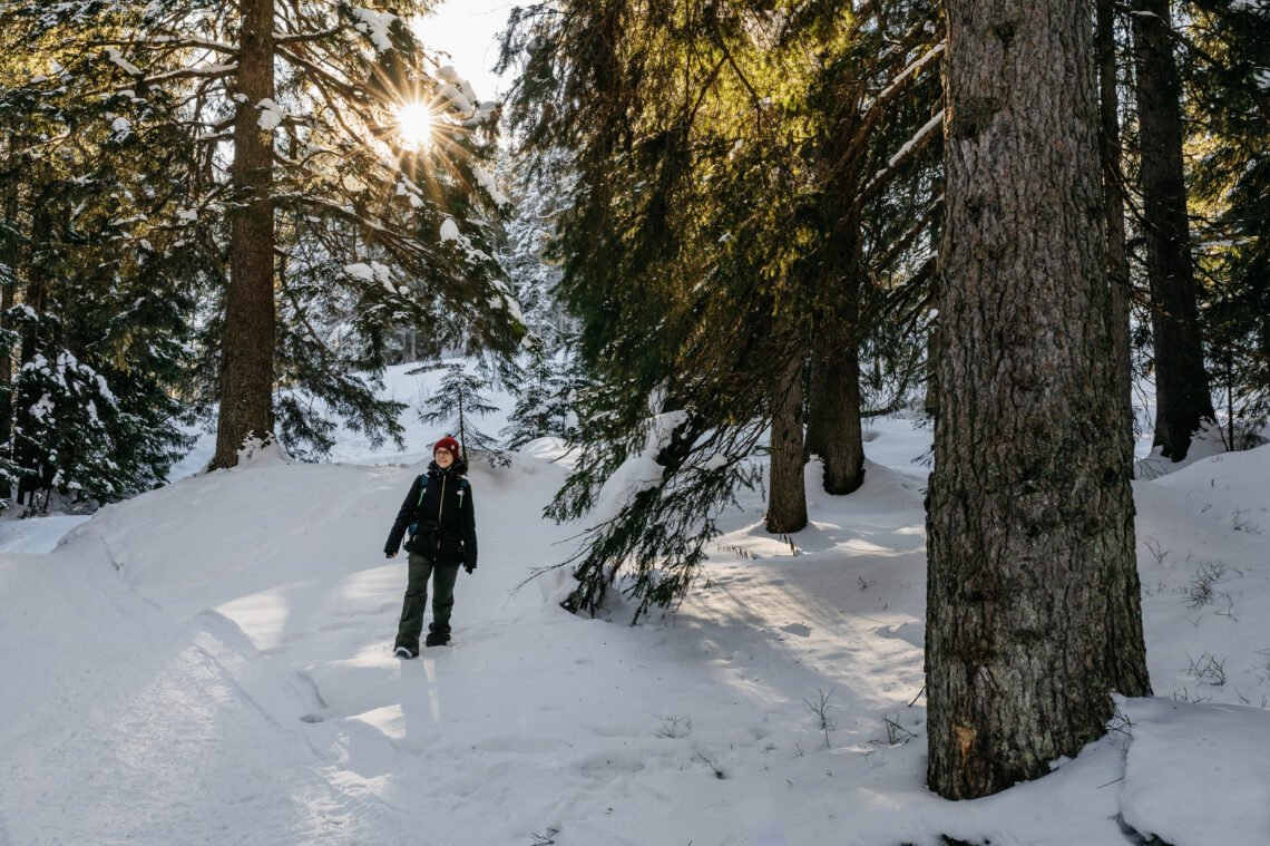 Der Fototrail führt an bewundernswerten Winterwanderwegen vorbei.