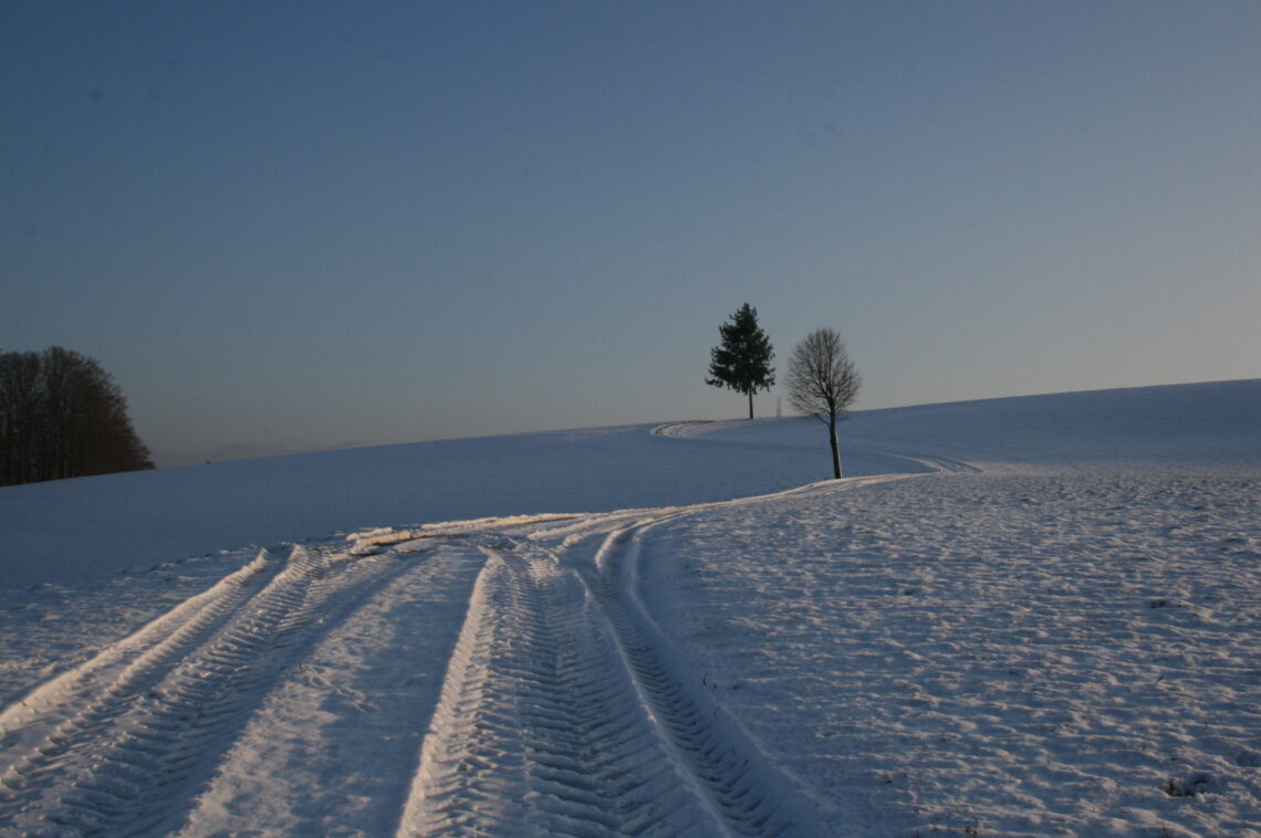 Verschneite Landschaft in Willisau.