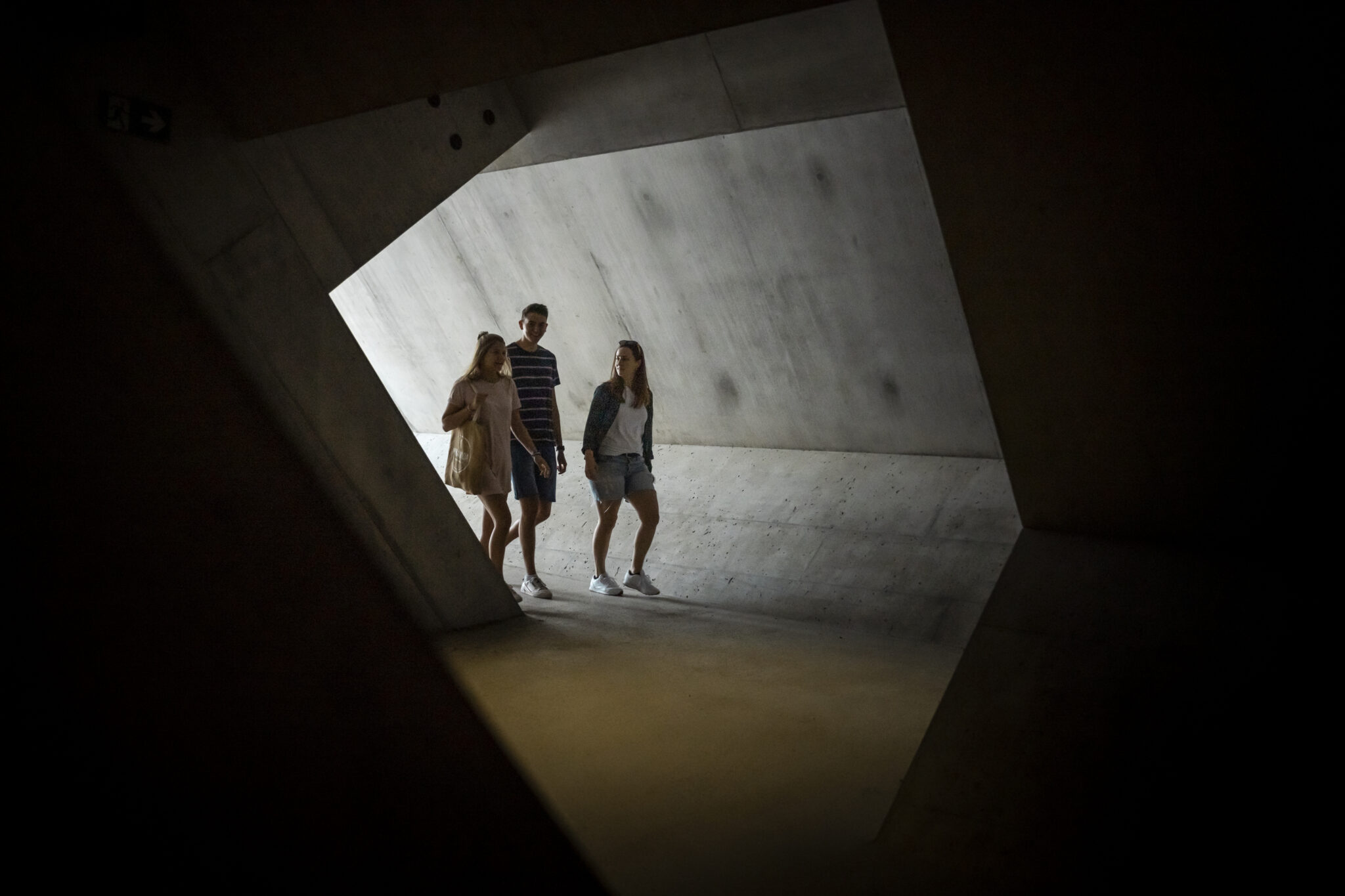 Lucerne visual data 4